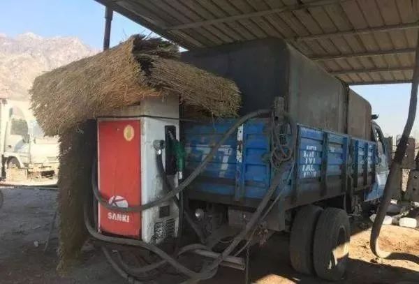 奔驰卡车司机:我就纳闷了,油耗子为啥越治越多? 奔驰卡车司机:我就纳闷了,油耗子为啥越治越多?